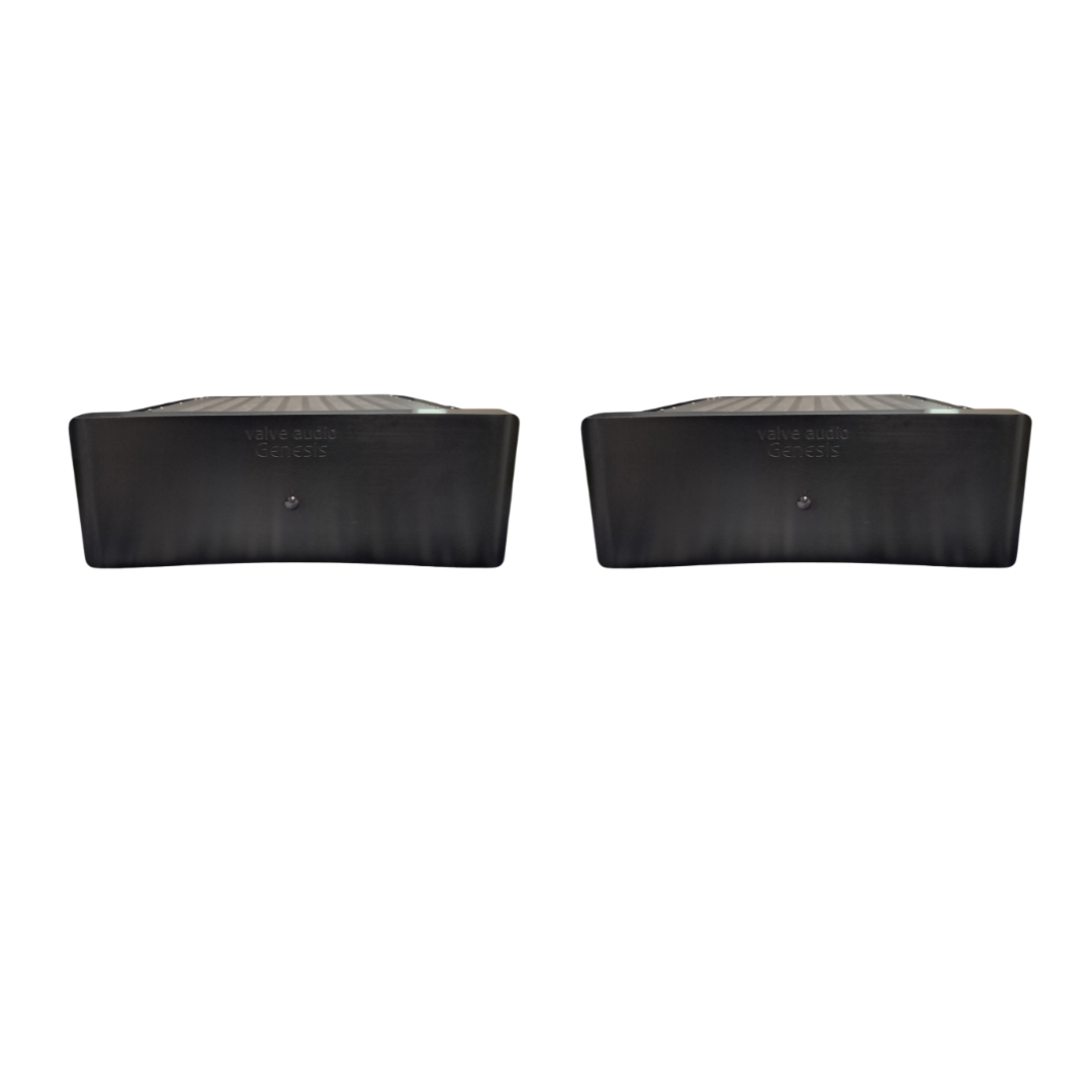 Valve Audio Genesis Mono Amplifiers (Pair) - Image 2